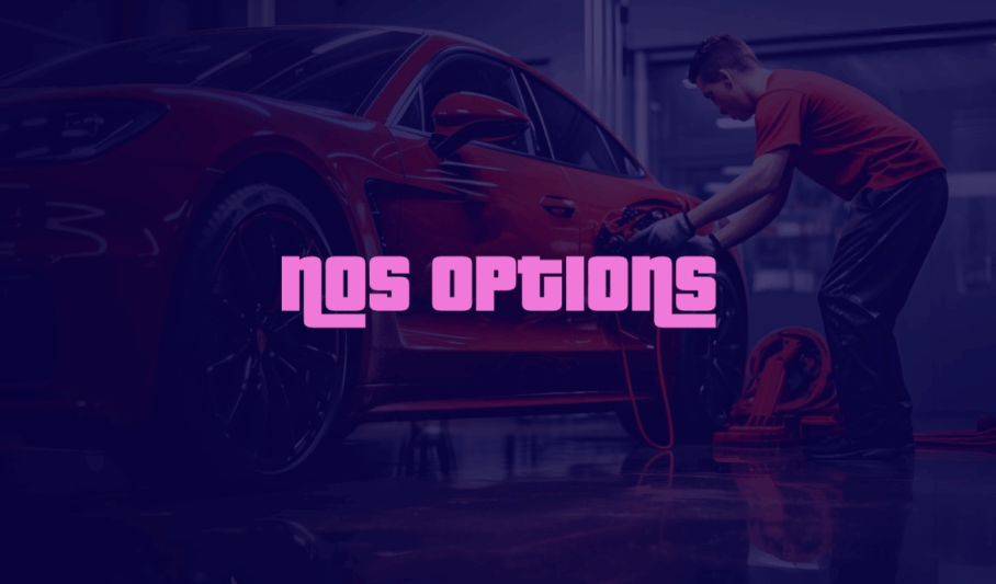 siteweb-driveforshine-options